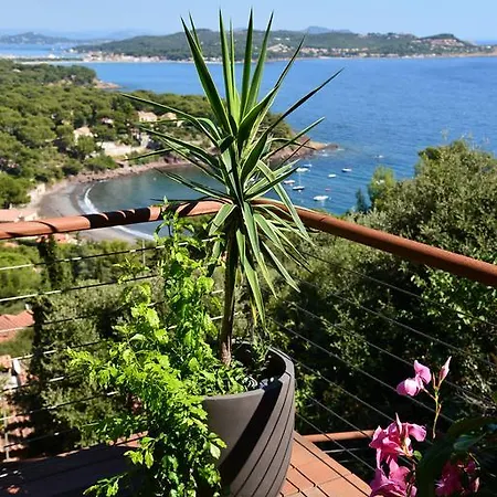 Kerjanus アパート